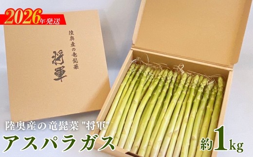 
                  No.3250 陸奥産の竜髭菜（アスパラガス）"将軍" 約1kg【2026年発送 先行予約】
                