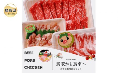 鳥取県産 焼肉セット 1kg(３?5人前) 牛肉 豚肉 鶏肉 焼き肉 バーベキュー BBQ ファミリーセット_T2600251