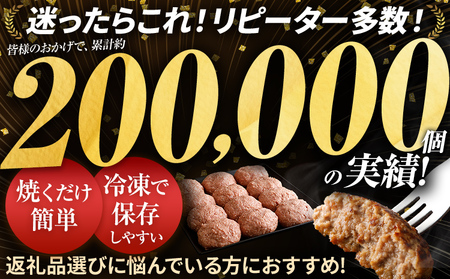 佐賀牛入 生ハンバーグ 1つ120g 8個入 肉汁たっぷり 牛豚合挽 ハンバーグ 柔らかい 肉 牛 ジューシー 夕飯 おかず 小分け 贅沢 グルメ 九州 古賀市 【1月以降順次発送】