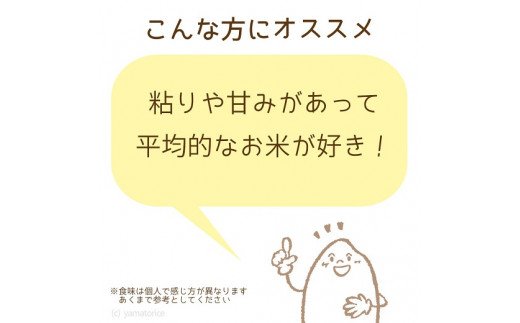 愛知県産コシヒカリ 10kg(5kg×2袋)　※定期便6回　こめ コメ ごはん 安心安全なヤマトライス 米 白米 国産 精米 10キロ　H074-698