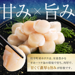 【枝幸ほたて】贈答用 1等ほたて干し貝柱 M500g