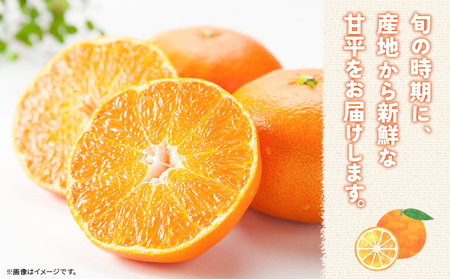 【先行予約】＜甘平 家庭用 約3kg＞ ご家庭用 かんぺい 高級 柑橘 ブランド みかん 蜜柑 訳あり 果物 くだもの フルーツ ミカン 愛媛 国産 ジューシー 明浜 特産品 笑丸 愛媛県 西予市【常