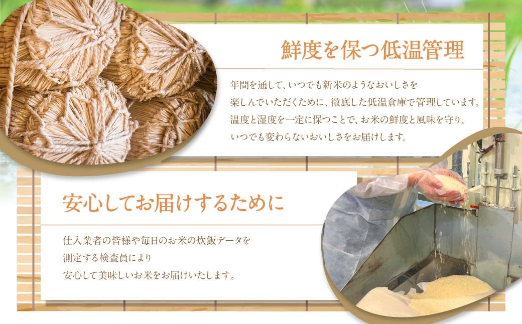 【12ヶ月定期便】福岡県産つやさくら 20kg 岡垣町 ふるさと納税返礼品 お米 こめ 精米 ご飯 ごはん 国産 定期便