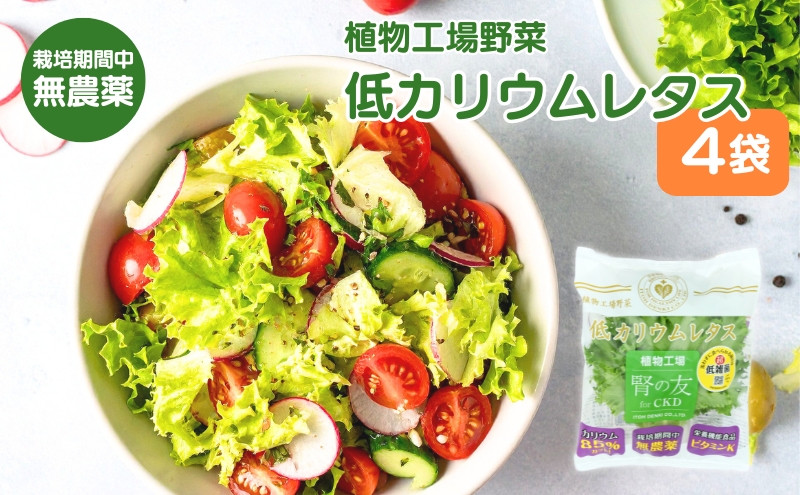 レタス 低カリウムレタス 4個入り カリウム85%カット 洗わず食べられる ビタミンK 植物工場 兵庫県 加西市 リーフレタス 栽培期間中 無農薬
