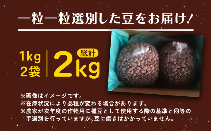 北海道 あしょろの中長うずら豆 1kg×2袋《足寄町》【党崎農場】[BEAA022]