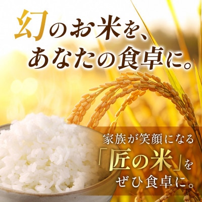 【先行受付】令和8年産　岐阜県産ハツシモ(無洗米)10kg【1757849】