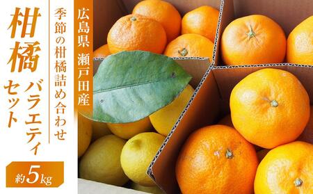 柑橘バラエティセット　5ｋｇ ＜2026年1月下旬より発送開始＞