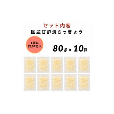 ふるさと納税 小松市 国産甘酢漬らっきょう 10袋セット らっきょう漬け 漬物 |  | 01