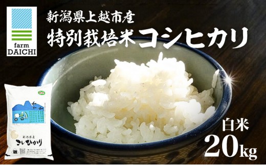 
                  令和7年 新潟県上越市産 特別栽培米 コシヒカリ 20kg （5kg×4袋）お米 コメ こしひかり ふぁーむ大地
                