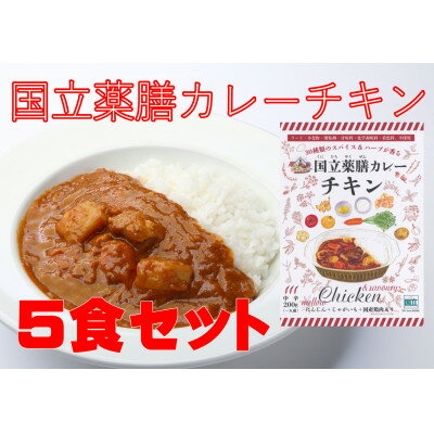 【ふるさと納税】国立薬膳カレーチキン　200g×5食セット【1591788】