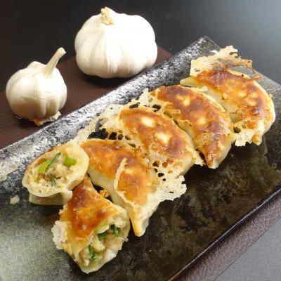 ふるさと納税 藤沢市 藤沢ブランド『みやじ豚』使用の肉汁飛び出し『みやじ豚の金ぎょうざ40個』(ニンニク入り特製ぎょうざ)