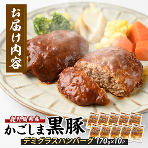 10営業日以内に発送 レンジで簡単 かごしま黒豚デミグラスハンバーグ170g×10個 レンジ調理 岡村商店 IB024-029 ハンバーグ ハンバーグ