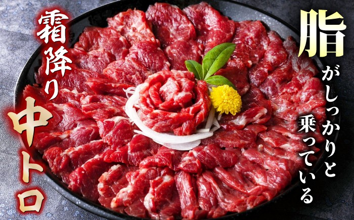 馬刺し 赤身 中トロ 専用醤油 国産 国内肥育 霜降り中トロ 約1キロ たっぷり 熊本 ばさし バサシ 冷凍 パック 小分け