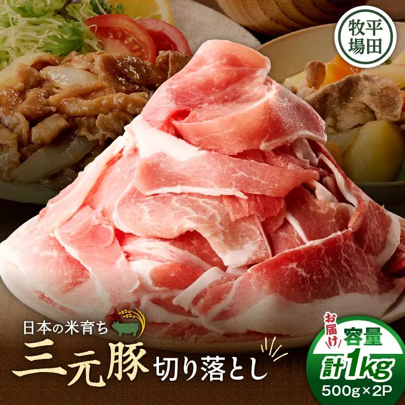 日本の米育ち平田牧場 三元豚切り落とし 500g×2パック（計1kg）　T036-004 肉 お肉 にく 食品 苫小牧市産 人気 おすすめ 送料無料 ギフト
