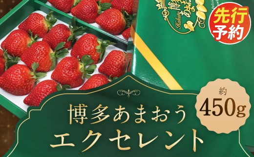 【期間限定】 博多 あまおう いちご エクセレント 約450g×1パック 苺 イチゴ 果物 フルーツ 【2027年1月下旬～2月下旬発送】