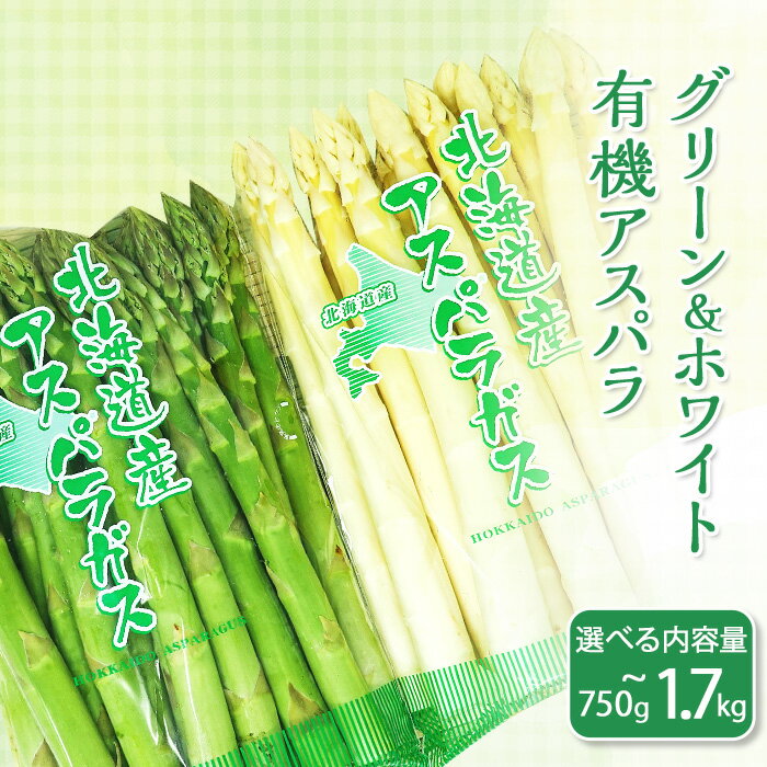 【ふるさと納税】 北海道産 有機JAS認定 有機 選べる 内容量・サイズ グリーンアスパラ ホワイトアスパラ 2026年産 先行予約 新鮮 旬 お取り寄せ 産地直送 送料無料 グリーン ホワイト 特大 3L 2L L M S 旬野菜 【グリーン＆ホワイト】新見ファーム有機アスパラ