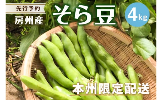 【先行受付 2026年4月中旬～5月中旬発送予定】そら豆/ソラマメ4kg mi0044-0012【豆 野菜 期間限定 数量限定 新鮮 朝採れ】