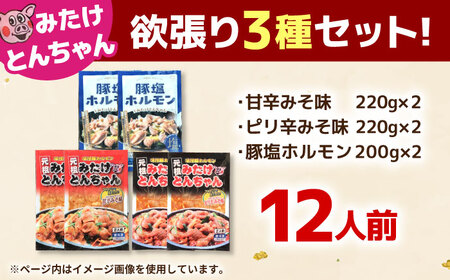 「元祖みたけとんちゃん」 3種セット（12人前）/ モツ もつ 白モツ ホルモン / 御嵩町 / 藤よし[AVAA057]