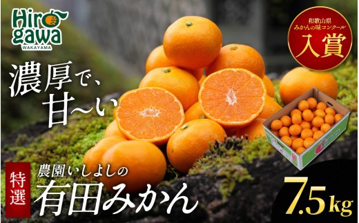 有田 みかん 特選 7.5kg【 創業120年 農家直送 】 / 温州みかん 有田みかん 甘い 高級 和歌山 柑橘 ※2026年11月中旬～2027年1月下旬に順次発送 【isy004-r-7d5C】