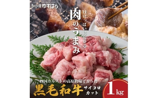 低温でも脂身がとろけるゆすはら牛サイコロカット 1kg　牛肉 和牛 黒牛 BBQ オレイン酸 高知県産