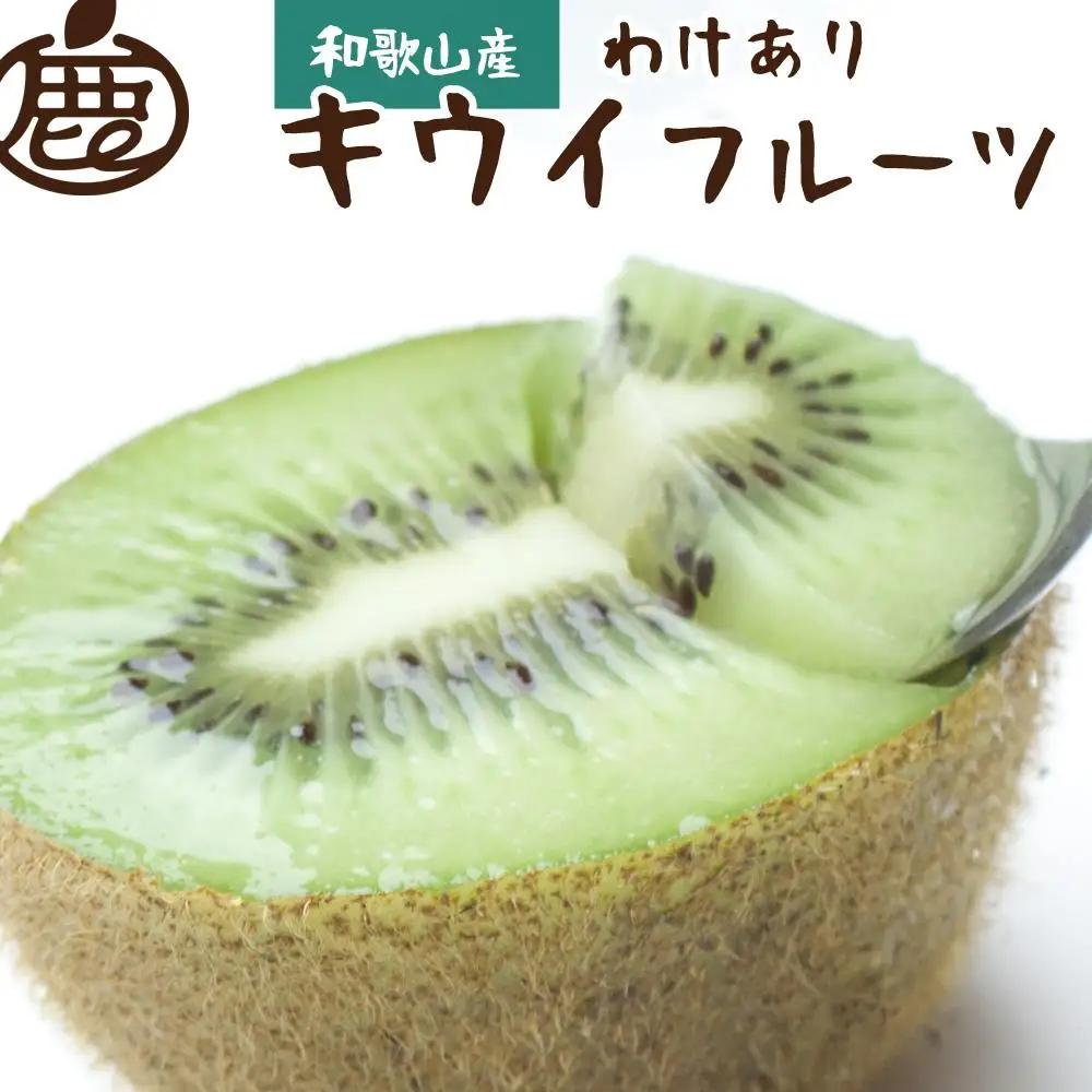 ［先行予約］家庭用 キウイ1kg+250g（傷み補償分）【わけあり・訳あり・扁平果】［IKE82］
