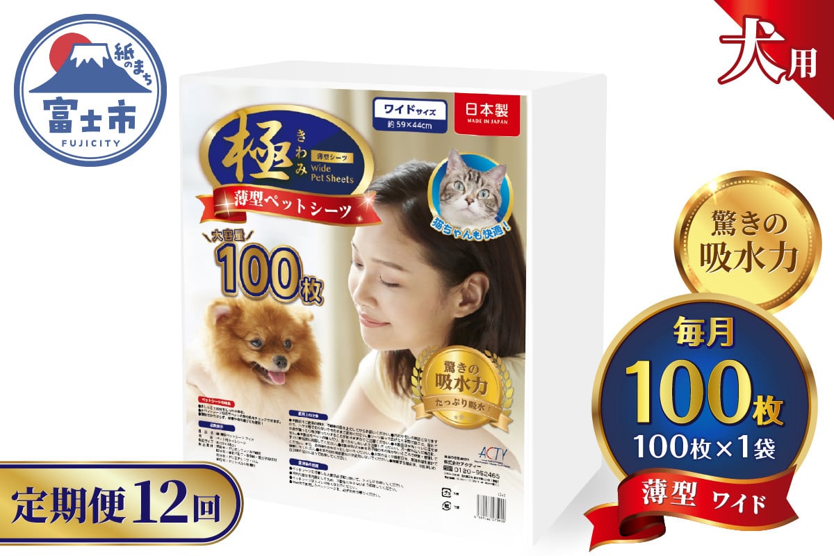 
            定期便 12回 ペットシーツ 【極】シリーズ 薄型ワイド 100枚 ペット用 犬用 猫用 トイレシーツ 日用品 ペット用品 防災 備蓄 消耗品 ドッグ キャット わんちゃん ねこちゃん 静岡県 富士市 [sf077-139]
          