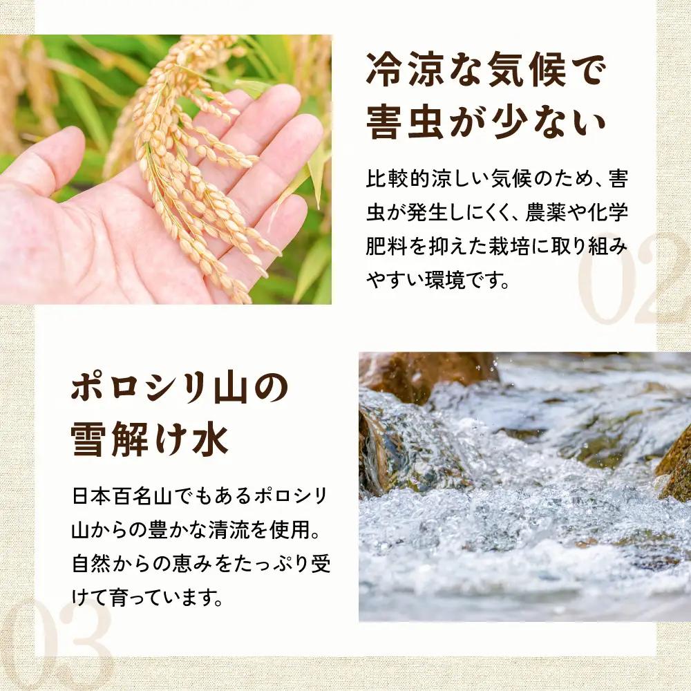 3ヵ月定期便 北海道 留萌管内産 ななつぼし 玄米 3kg 玄米  米 お米 こめ