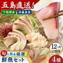 【ふるさと納税】【全12回定期便】金澤仕立て 鮮魚ボックス 旬の魚4種 冷蔵 真空パック 新鮮 下処理済み 海鮮 刺身 セット 五島市/金沢鮮魚[PEP017]