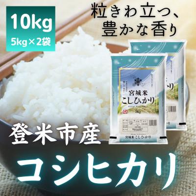 ふるさと納税 登米市 令和7年産　宮城県登米市産コシヒカリ(精米)5kg×2袋セット