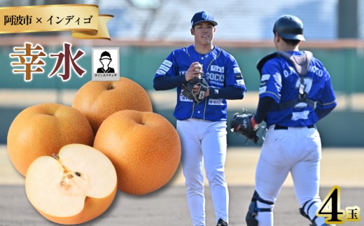 【幸水4玉 選手サイン入りチェキ】 先行予約 徳島 インディゴソックス コラボ 梨 グッズ セット 《8月下旬～順次発送》 果物 フルーツ 野球 四国アイランドリーグ 阿波市