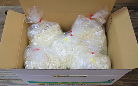 麹 【11月頃順次発送予約】 手造り 米糀 2kg [ABBQ002] 麹