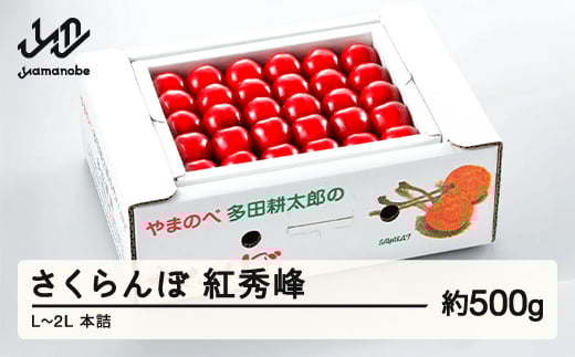 《先行予約》2025年 山形県産 紅秀峰 本詰め 約500g L~2L やまのべ多田耕太郎のさくらんぼ サクランボ F20A-046