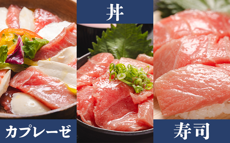 中トロ 定期便 12回 約250g 2冊 養殖 本マグロ 合計6kg Woo-0025 【12回定期便】 約250g×2柵