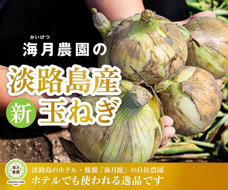 【ふるさと納税】【量が選べる！新玉予約！】海月館 自社農場栽培！淡路島産 新玉ねぎ　◆6月1日～6月30日の期間で順次発送予定