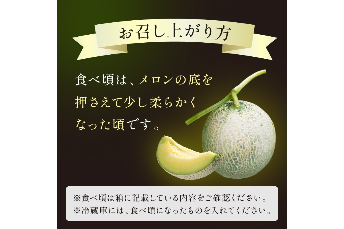 【先行予約／数量限定500】京丹後産 砂丘メロン 大玉2L以上 1玉（2025年7月下旬～発送）　HF00003