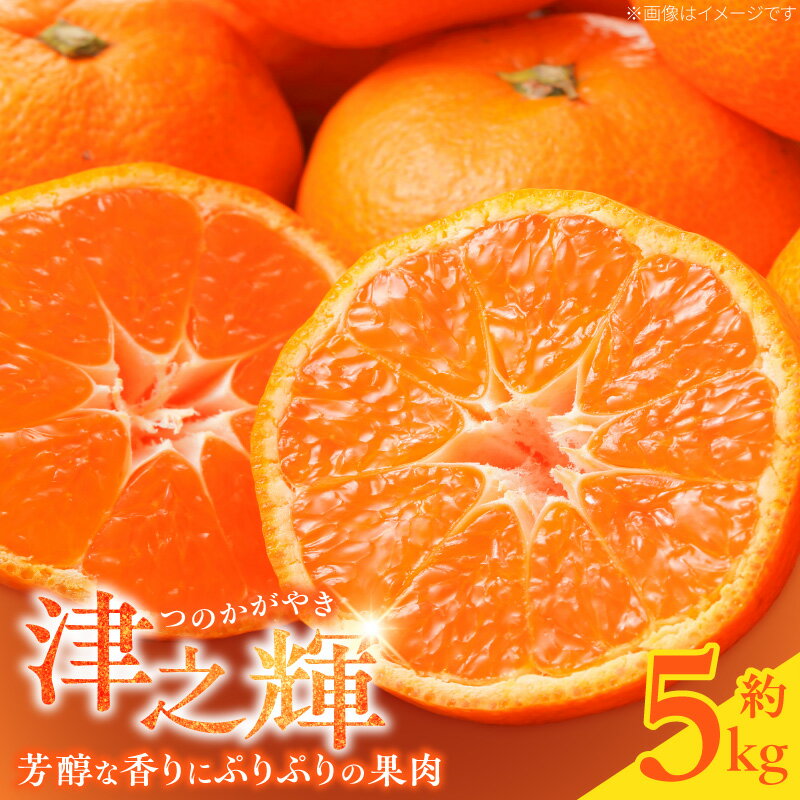 【ふるさと納税】【限定】 【2027年先行予約】和歌山産 津之輝 (つのかがやき) 約5kg【ミカン 蜜柑 春みかん 柑橘 和歌山 有田】