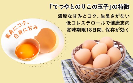 《月2回 × 20個 12ヶ月コース》卵 てつやとのりこの玉子 全24回定期便 糸島市 / 板垣ファーム  [AWD014] 玉子 たまご 卵 ビタミン卵 ミネラル卵 福岡卵 九州卵 ビタミンたまご 