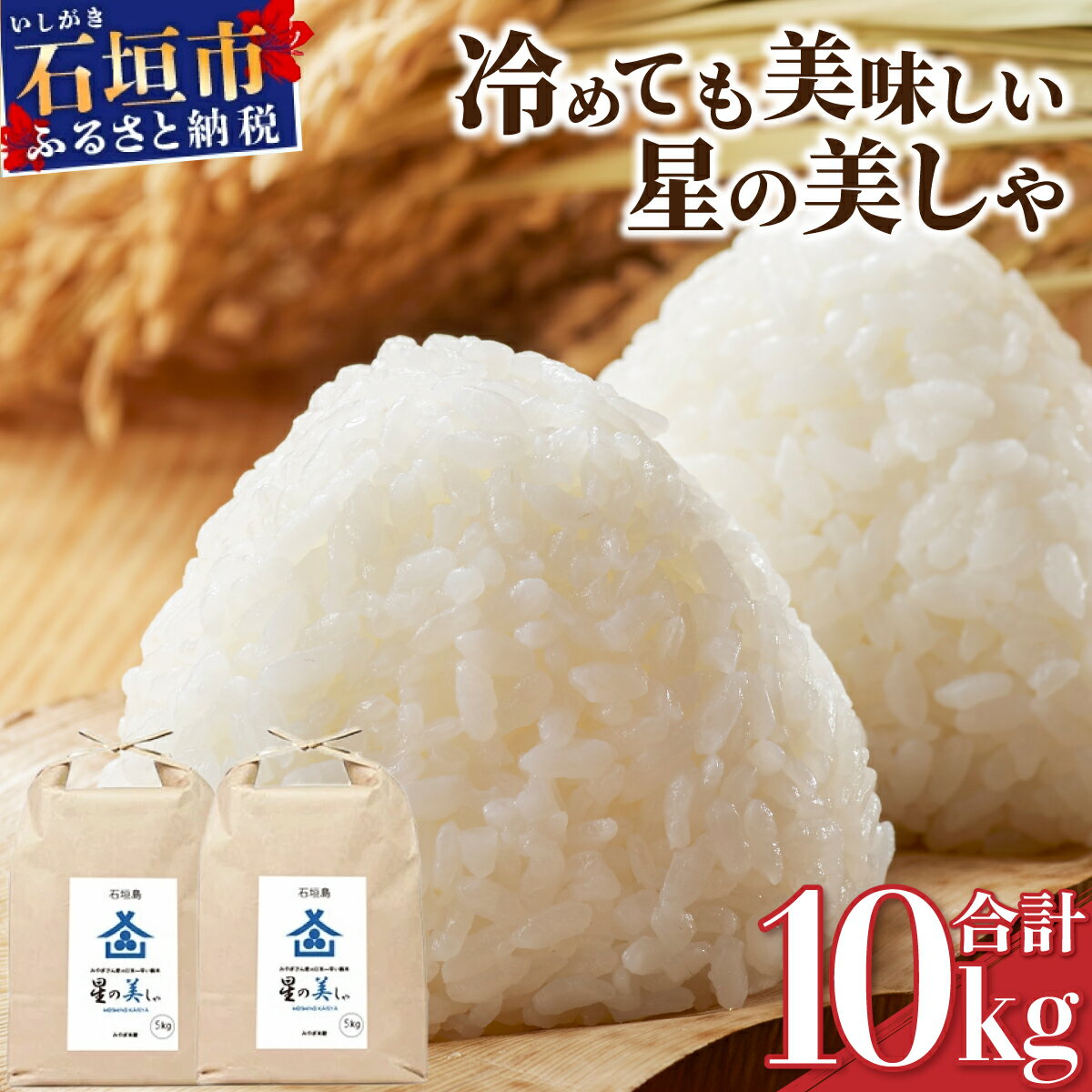 【ふるさと納税】石垣島産 星の美しゃ (ほしのかいしゃ) みやぎ米屋 | 日本一早い新米の産地 お米 こめ コメ 産地直送 旬 ほしじるし 沖縄県 石垣市 送料無料