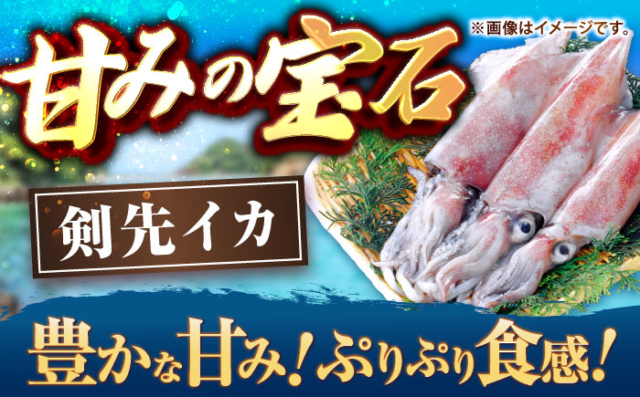 【冷凍】剣先イカ 刺身用 500g　剣先烏賊 《壱岐市》 【一支國屋】海鮮 烏賊 イカ いか 刺身 刺し身 お刺身 剣先イカ 冷凍配送 [JCC024]