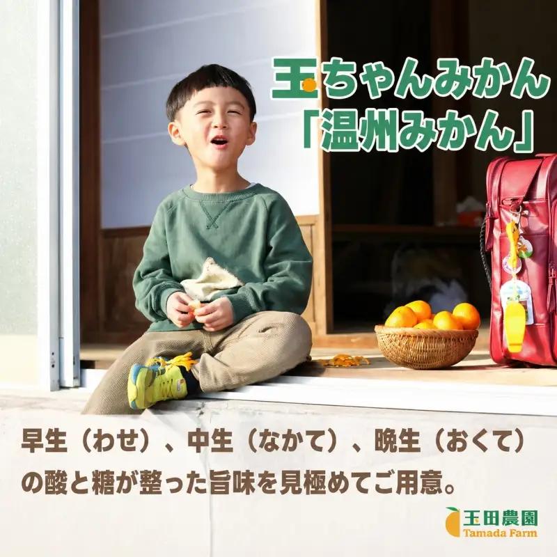 有田 みかん 旨時 体に優しい玉ちゃんみかん 2kg / 温州みかん 有田みかん 甘い 和歌山 柑橘 ※2026年12月初旬～2027年2月中旬に順次発送 【tmd004-cu-2】