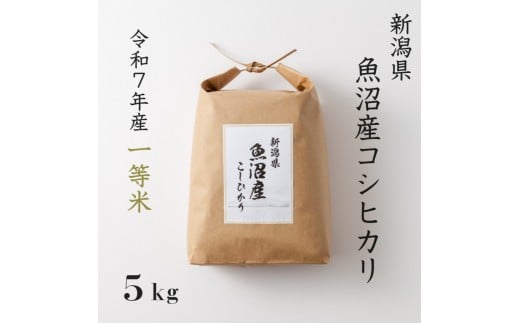 
            《 令和7年産  》 魚沼産コシヒカリ 5kg 一等米 ( 慣行栽培 )
          