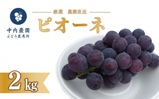 【 先行予約 】 ピオーネ 2kg 《 2025年 8月 下旬 ～ 順次発送 》フルーツ ぶどう 葡萄 期間限定 旬 産地直送 農家直送 産直 贈答 家庭用 ギフト 中内農園 ぶどう 直売所 徳島県 阿波市