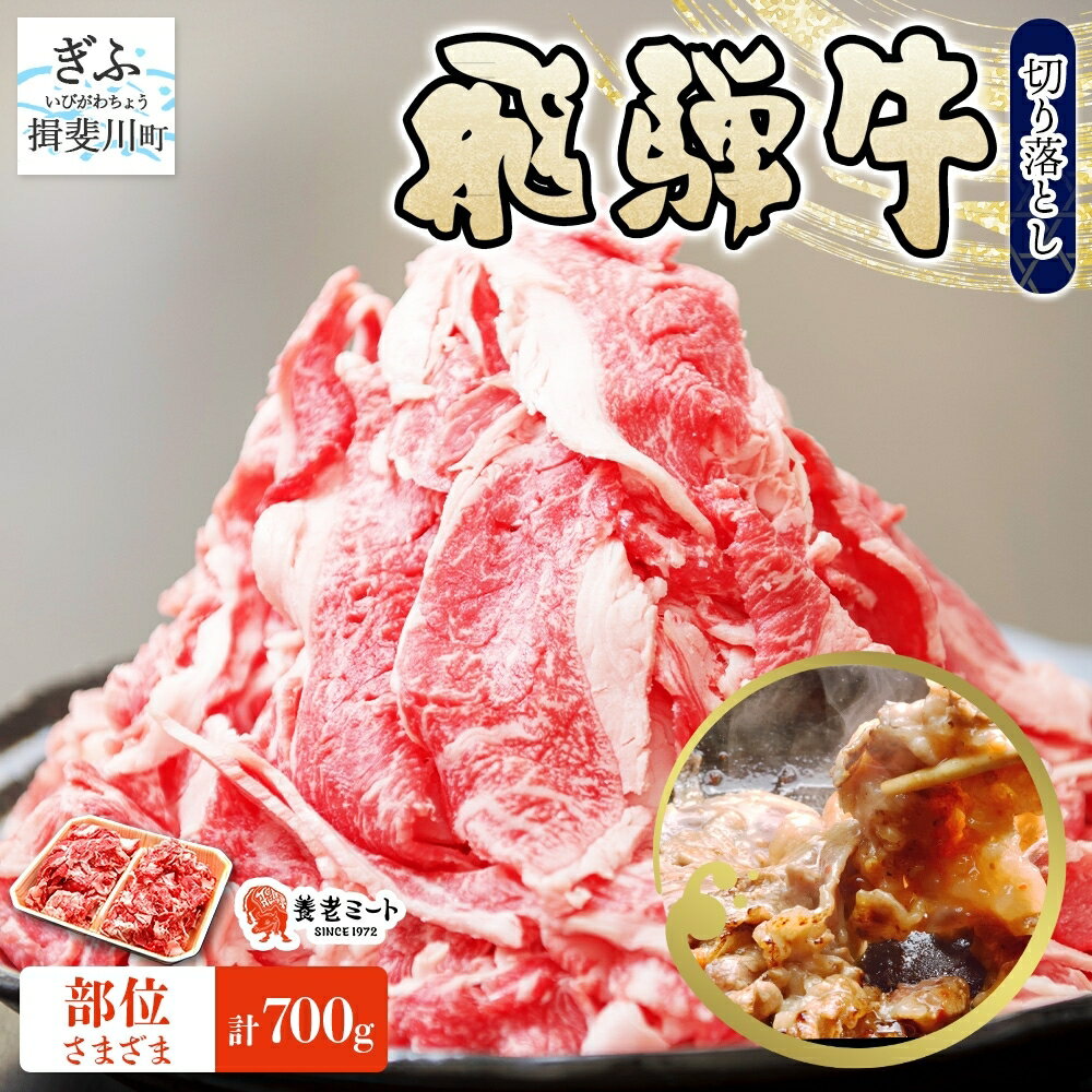 【ふるさと納税】飛騨牛 切り落とし 計700g 350g×2パック 和牛 黒毛和牛 国産 国産牛 肉 牛肉 普段使い 炒め物 牛丼 冷凍 小分け 便利 手軽 グルメ カレー ビーフシチュー 煮物 肉じゃが 送料無料 養老ミート 岐阜県 揖斐川町