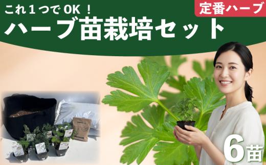 ハーブ 苗 栽培キット 定番ハーブ 6品種 花苗 苗木 ガーデニング 寄せ植え プランター 土 肥料 付き プレゼント 育成セット 日用品 園芸 花苗 おすすめ セット ポタジェガーデン 埼玉県 羽生市