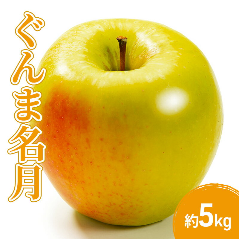 【ふるさと納税】サンふじ 5kg 果物 フルーツ りんご 長野県　お届け：2026年11月中旬～11月下旬