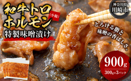 ＜訳アリ＞和牛トロホルモン　特製味噌漬け　0.9kg(300g×3）【2026年10月発送】