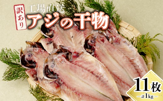 訳あり 干物 アジの開き 11枚(約1kg) 工場直送 訳あり |  干物 アジ 鯵 あじ 訳あり 規格外 1kg 工場直送 開き 海鮮 お取り寄せ 大容量 海産物 自宅用 冷凍 業務用 人気 セット  魚介 家庭用 食品 グルメ ひたちなか  粉長商店