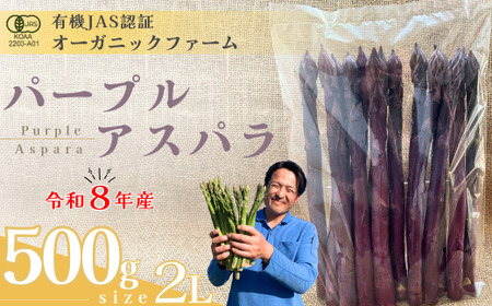 【先行予約】オーガニック パープルアスパラガス  2L 500g アスパラガス