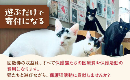 Cherish猫カフェ 回数券（10回分） 猫 ねこ ネコ 保護猫 支援 動物愛護 応援 大阪府高槻市／特定非営利活動Cherish[AODU002]