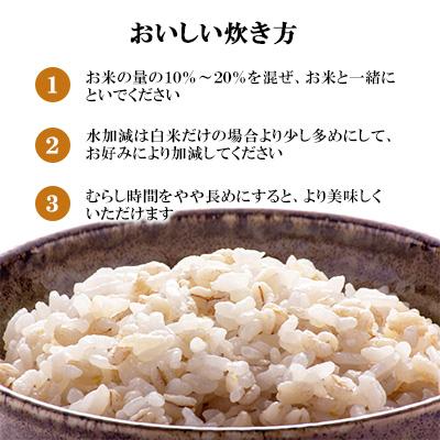 ふるさと納税 諫早市 丸麦(長崎県産)20kg×1袋 |  | 02